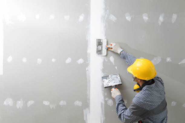 Best Ceiling Drywall Installation  in Bloomington, IL